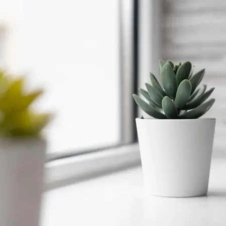 Modern Newly Refurbished House 10 Minute Walk From * Lahinch