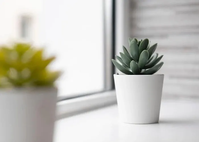 Modern Newly Refurbished House 10 Minute Walk From * Lahinch